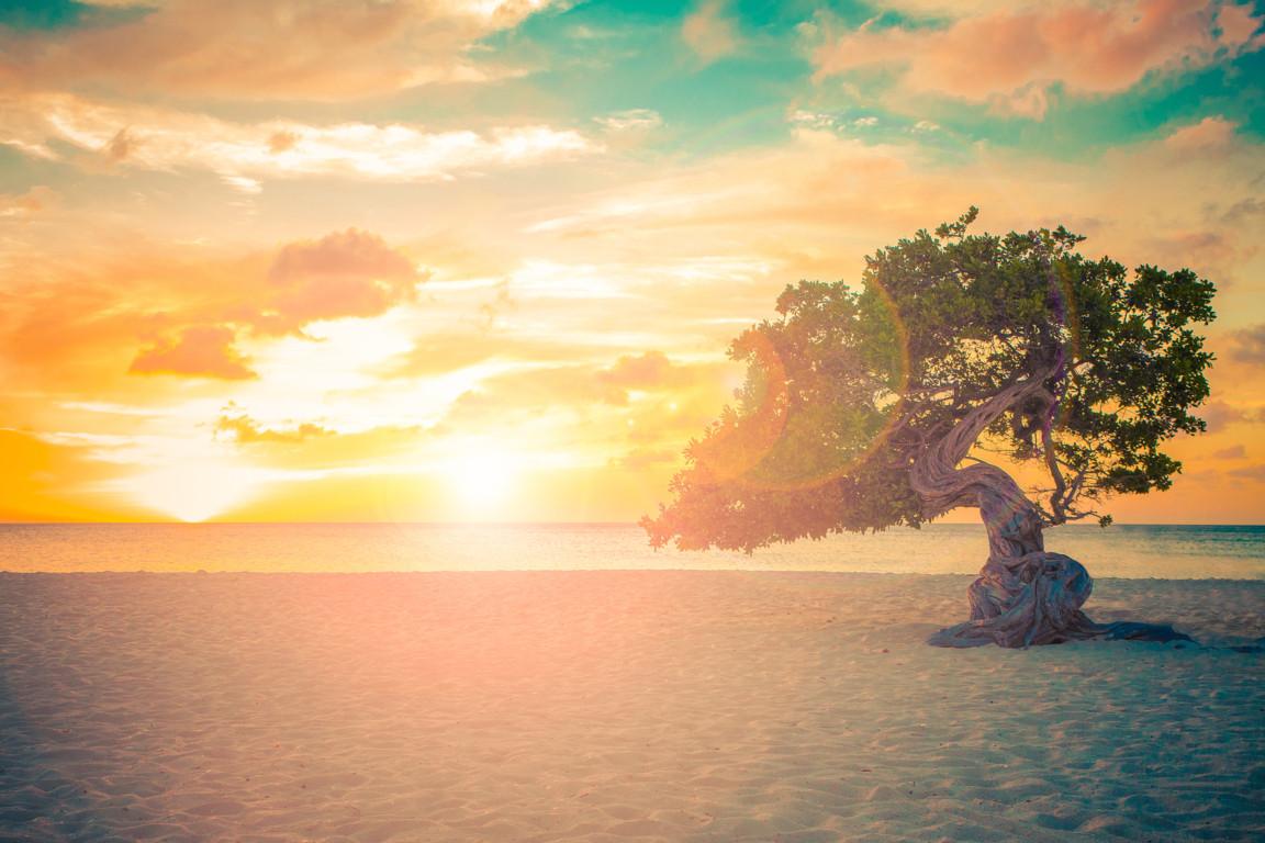 New York & Aruba
